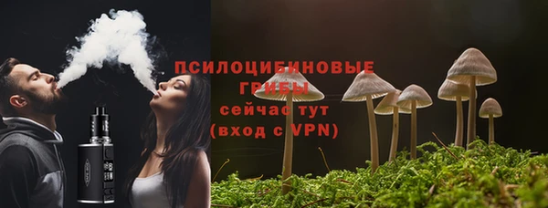 метамфетамин Богданович