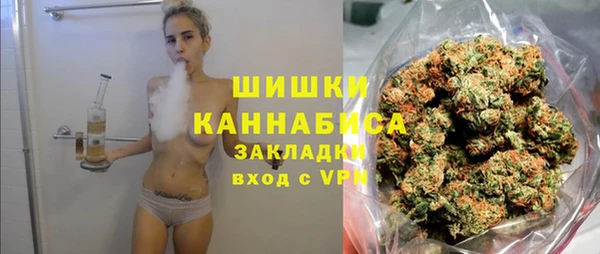 эйфоретик Тайга