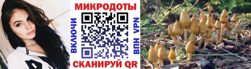 Псилоцибиновые грибы Psilocybe  Кирс 
